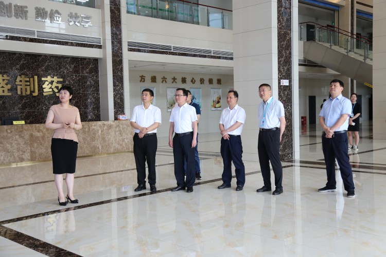 常德市汉寿县县委副书记王时雨一行莅临新宝gg制药考察调研_新宝gg